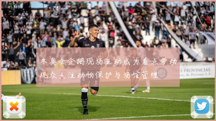 冬奥会企鹅现场互动成为看点带动观众关注动物保护与场馆管理