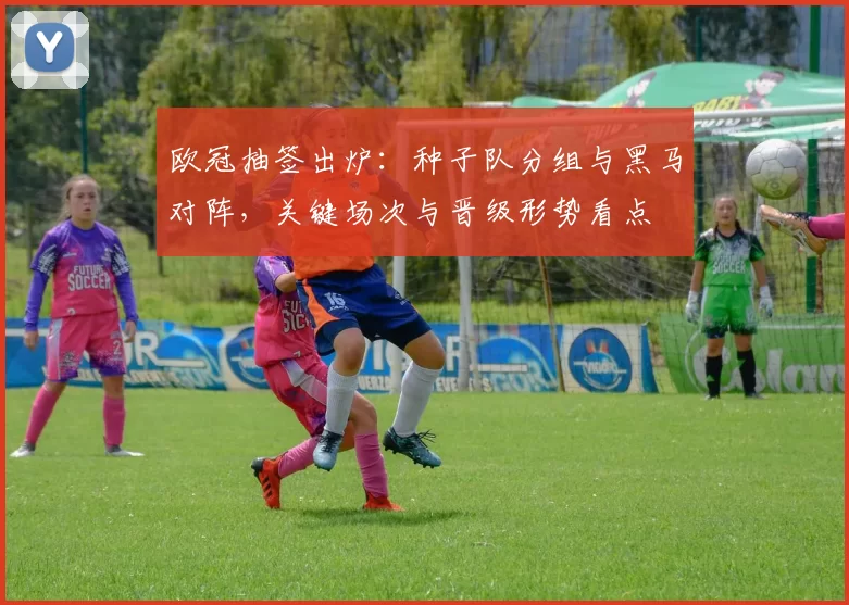 欧冠抽签出炉：种子队分组与黑马对阵，关键场次与晋级形势看点