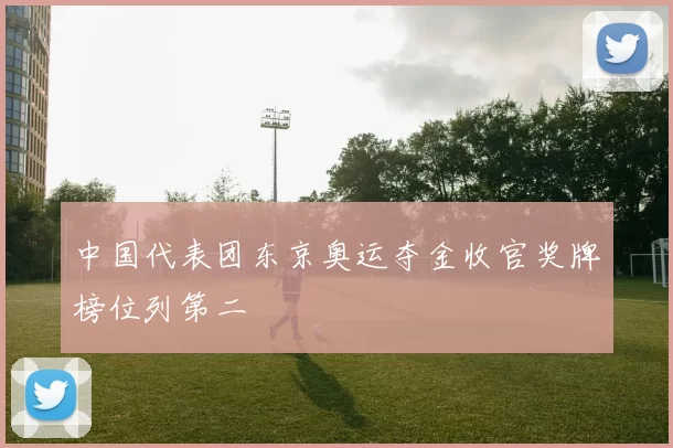 中国代表团东京奥运夺金收官奖牌榜位列第二