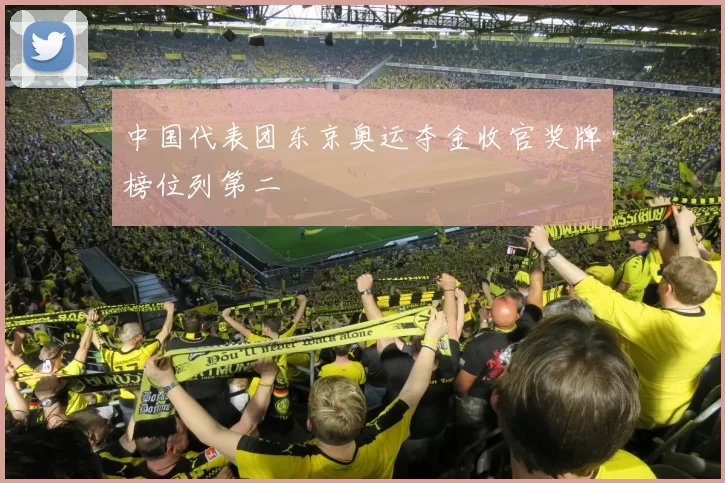 中国代表团东京奥运夺金收官奖牌榜位列第二